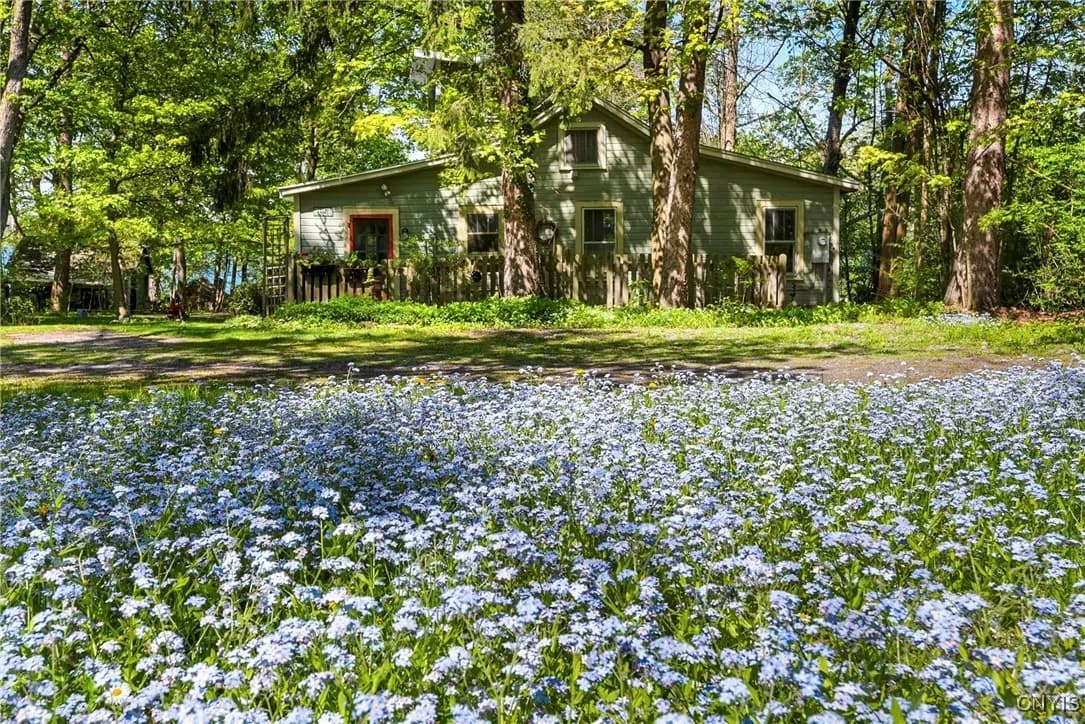 The Lake House behind a lawn and mature trees